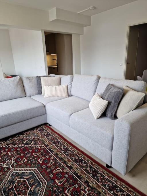 Paju Suites