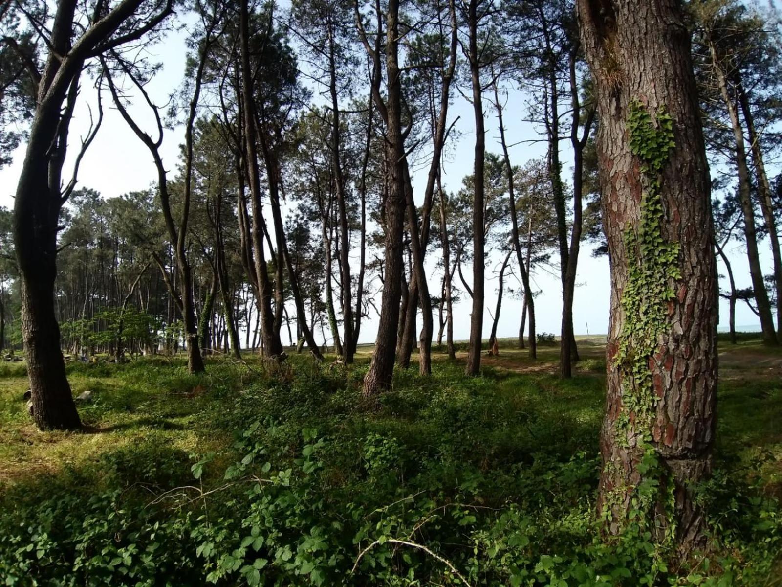 Photo 20