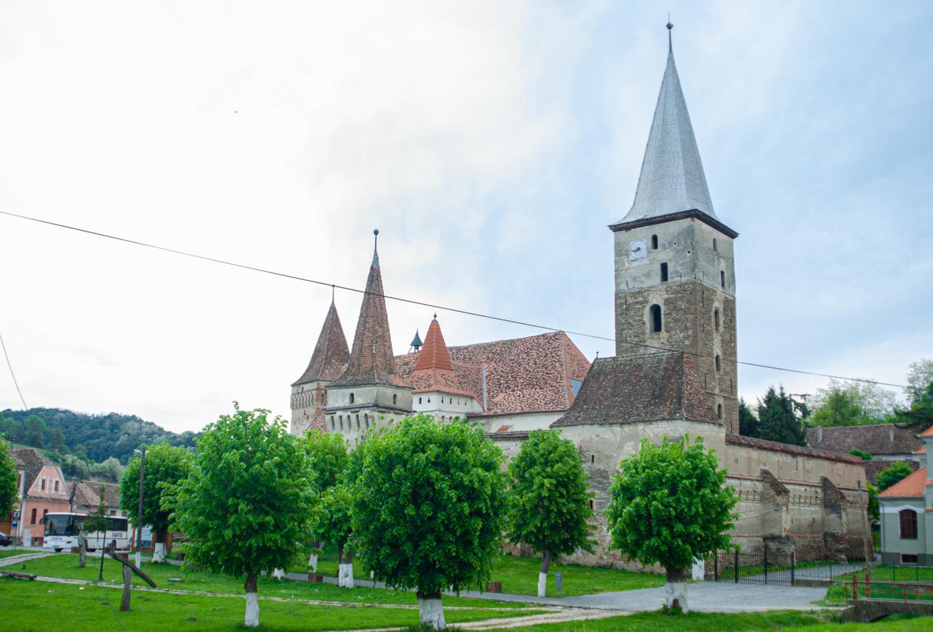 Photo 19