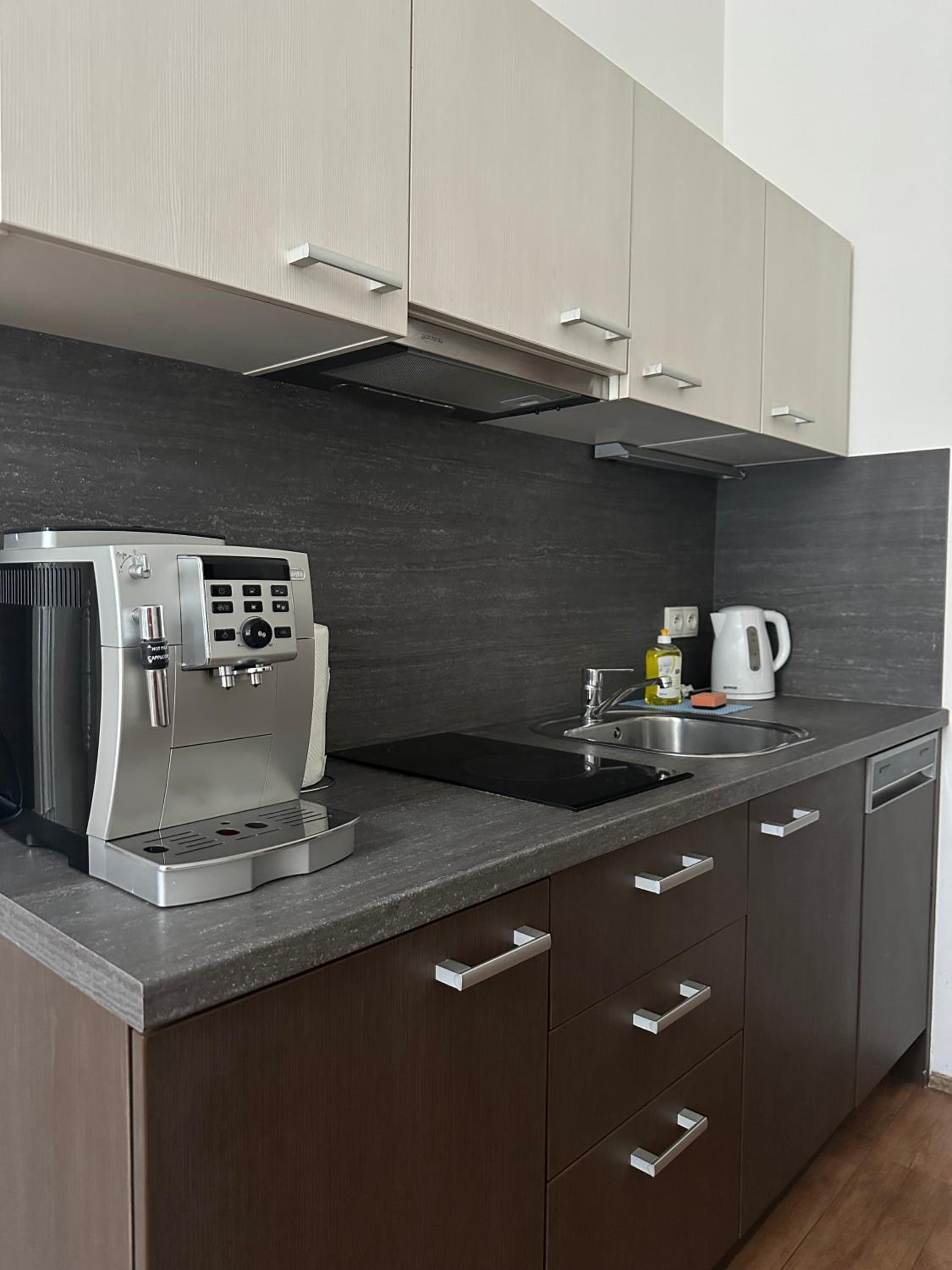 Apartment Skorepka 4