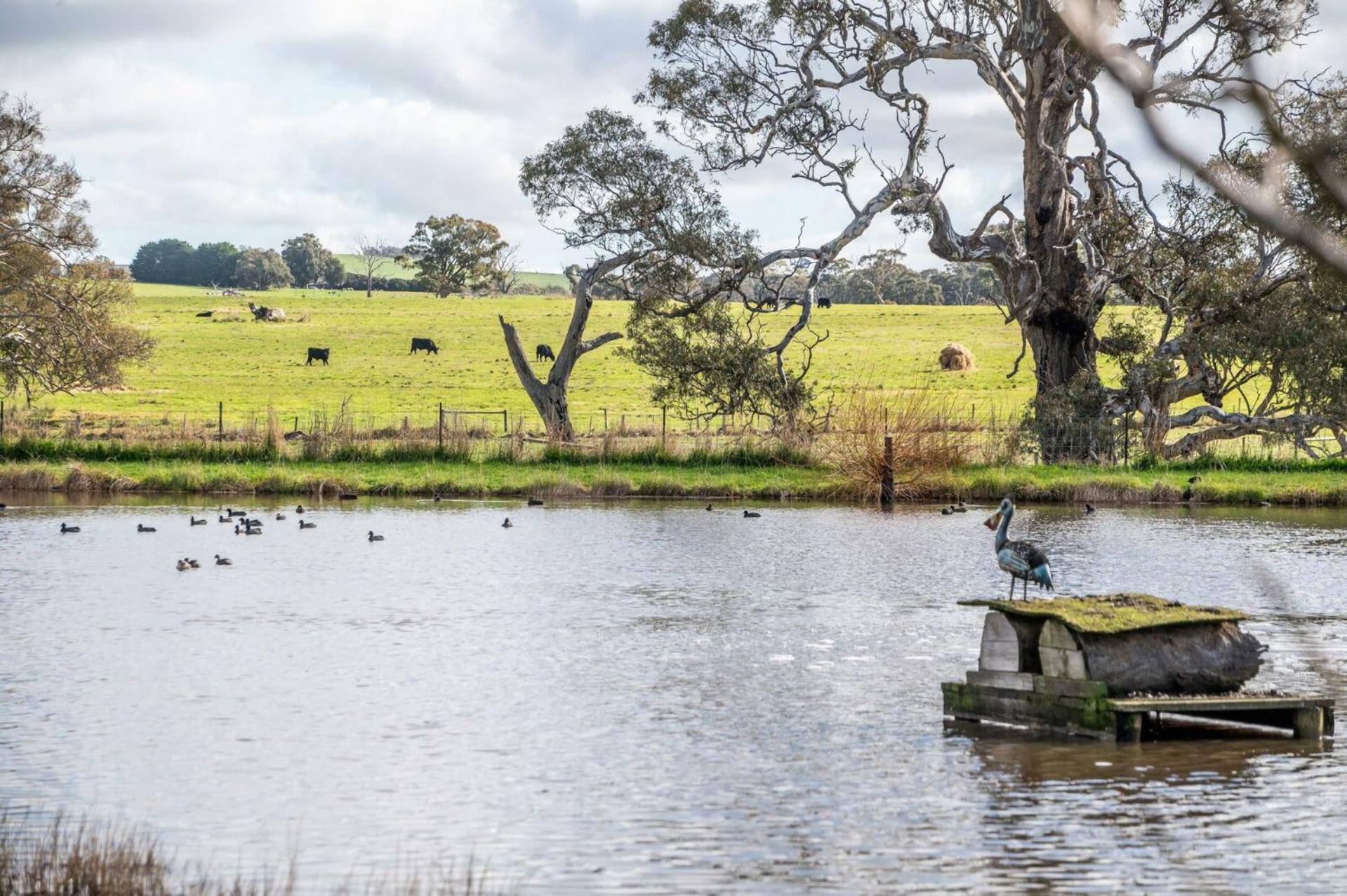 Mollison Park Farm