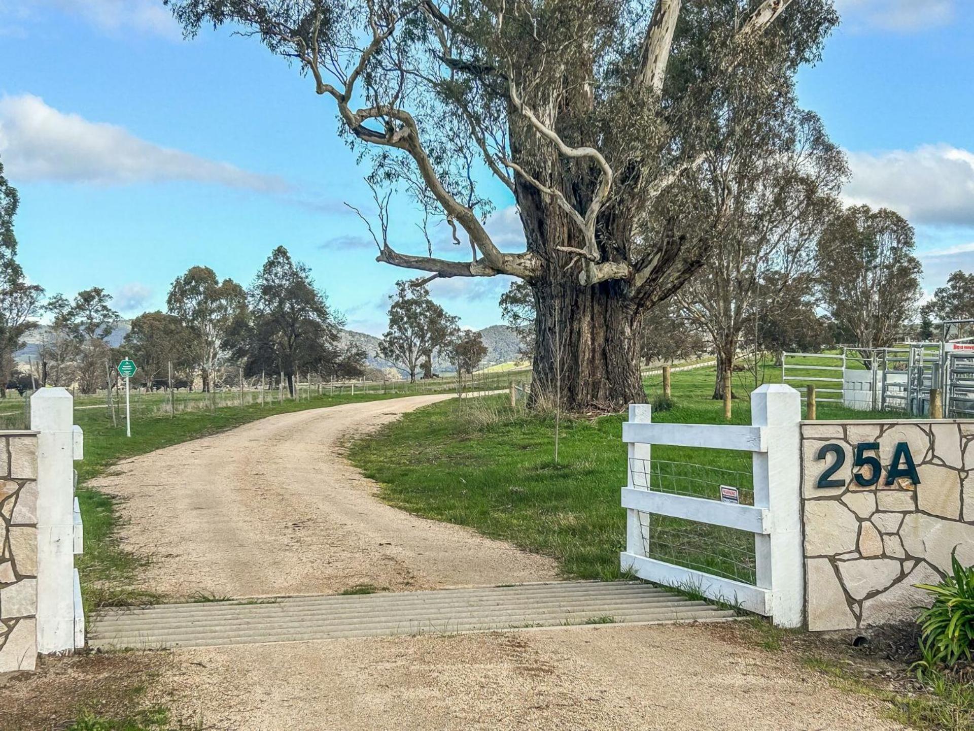 Mollison Park Farm