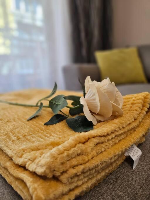 Serenity in the heart of Varna with free parking