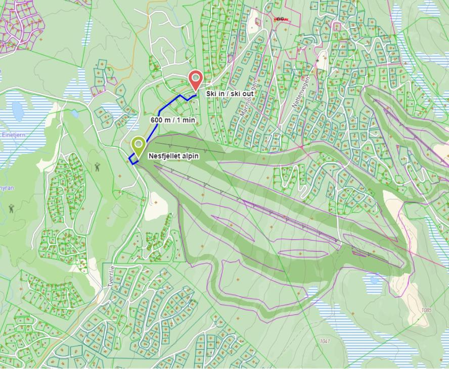 Nesfjellet