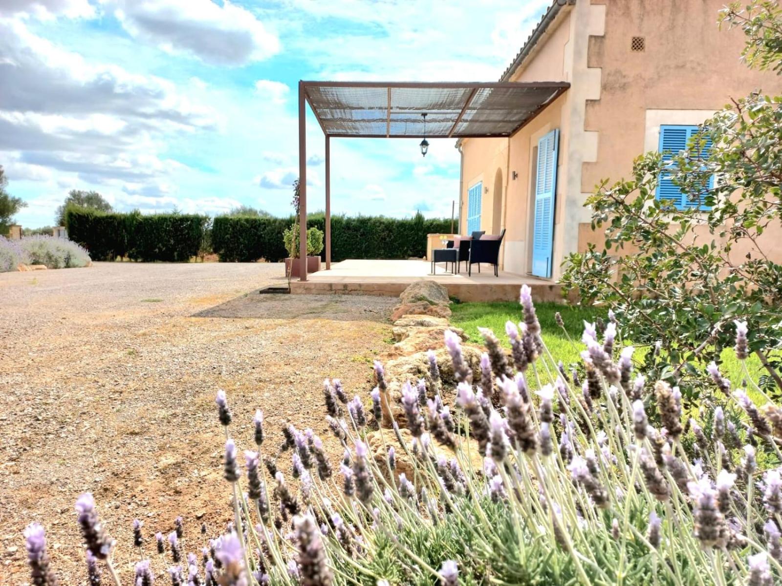 Finca Tanca Gran