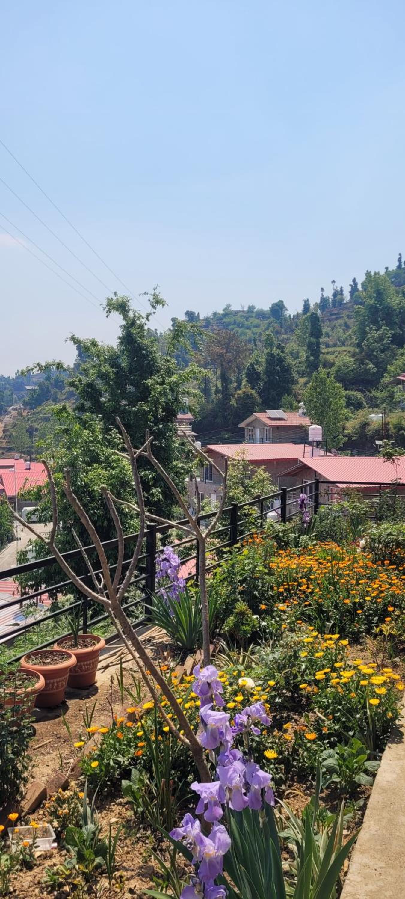 Smriti
