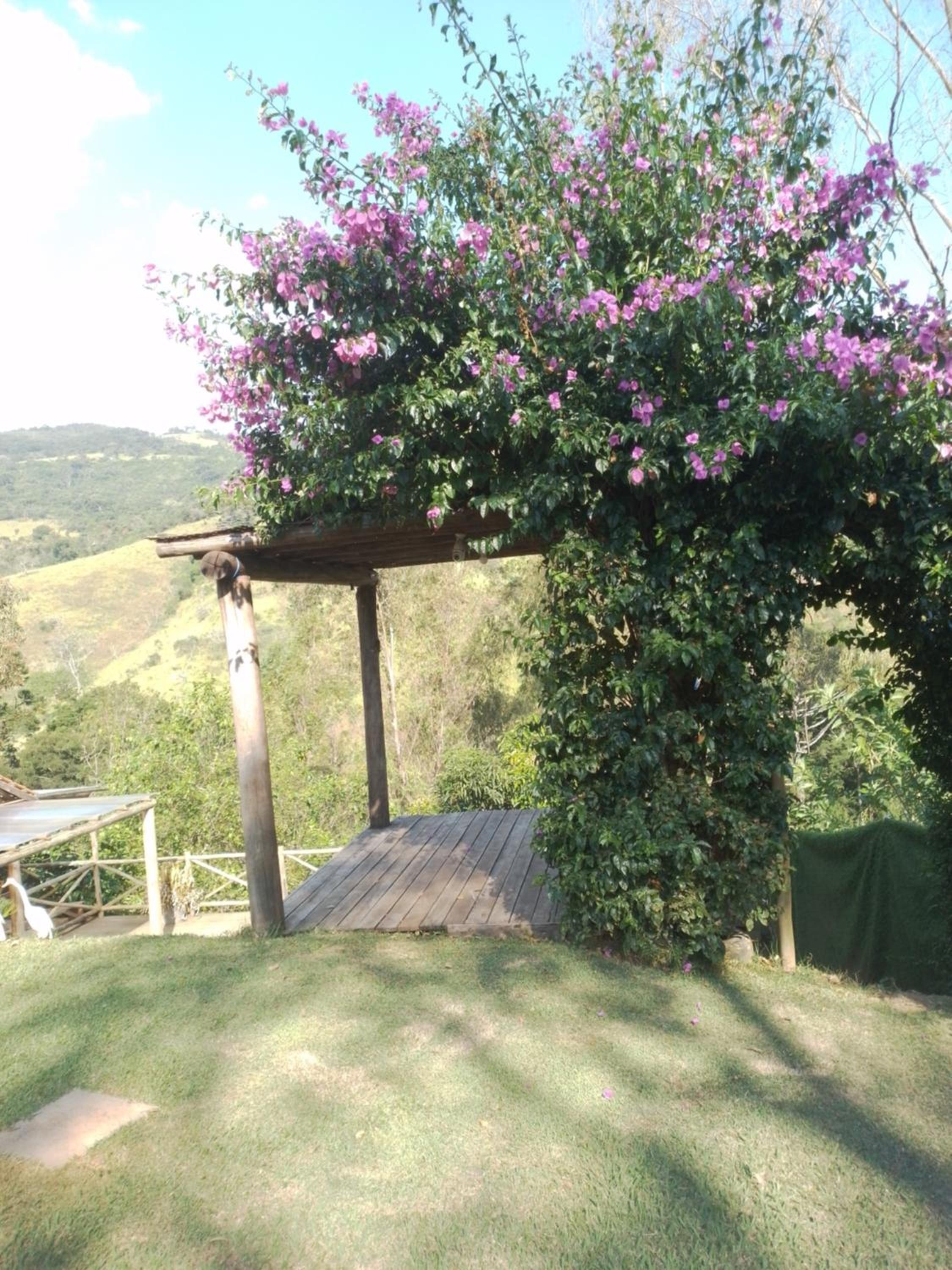 Cantinho da Roça