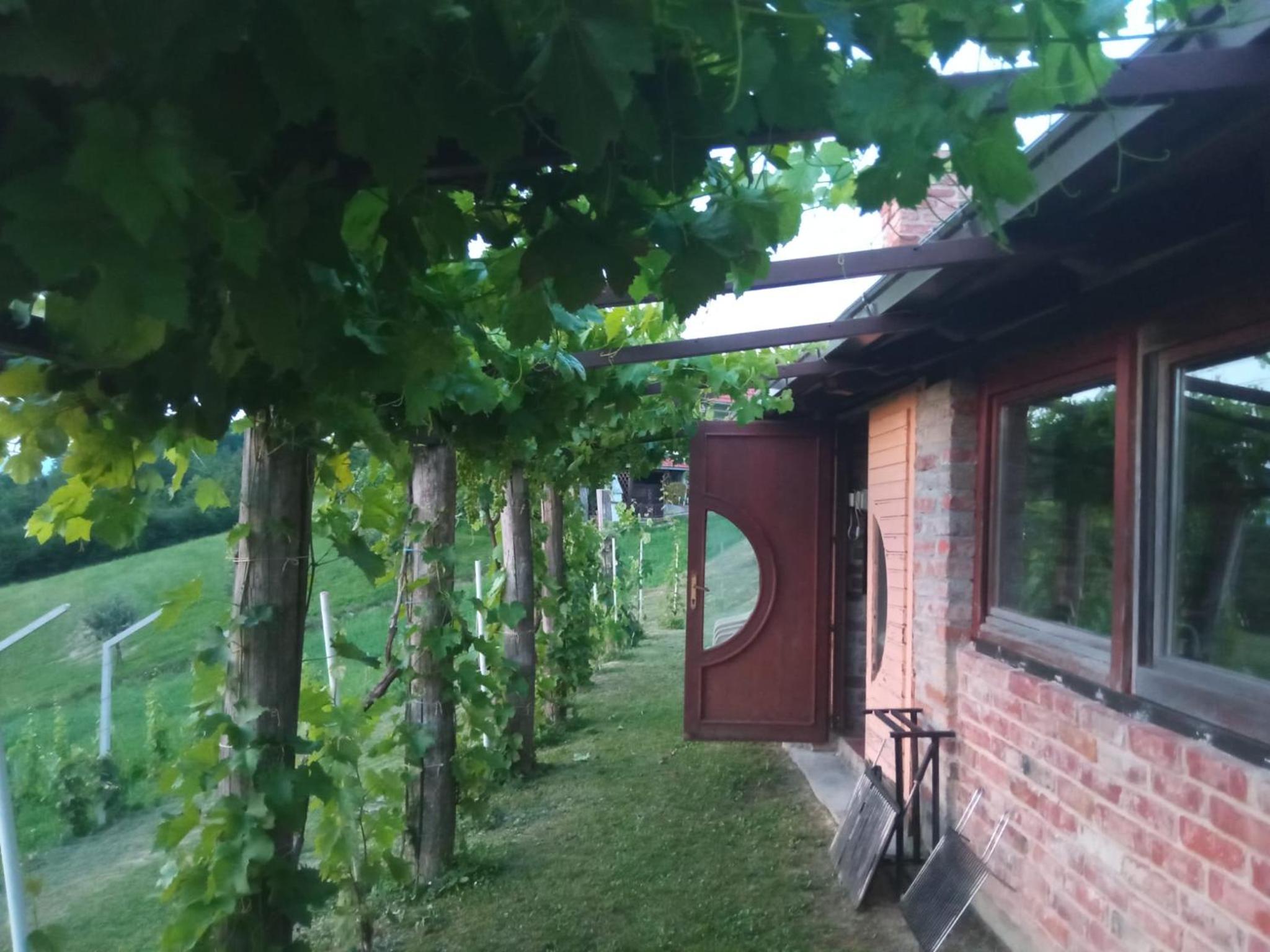 Holiday house Green hill in Zagorje view 4