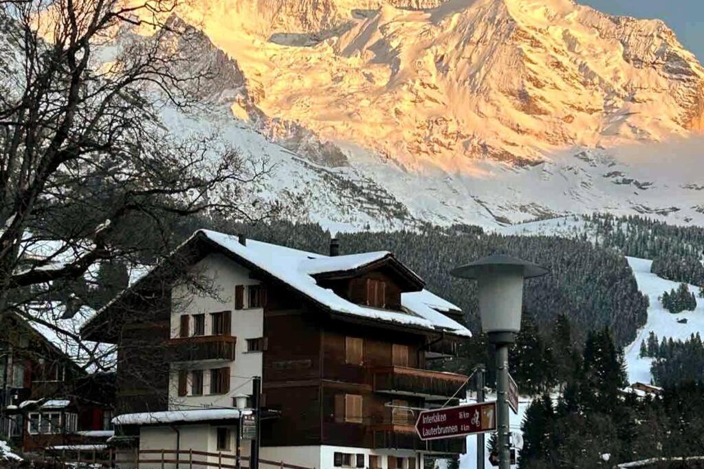 Appartement Cosy - Chalet Central