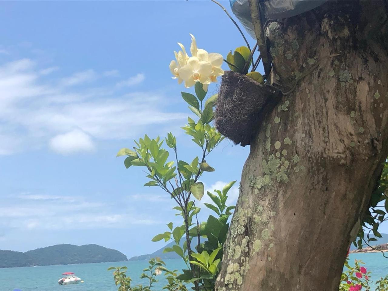 Linda Casa, pé na areia na praia da Fortaleza Ubatuba