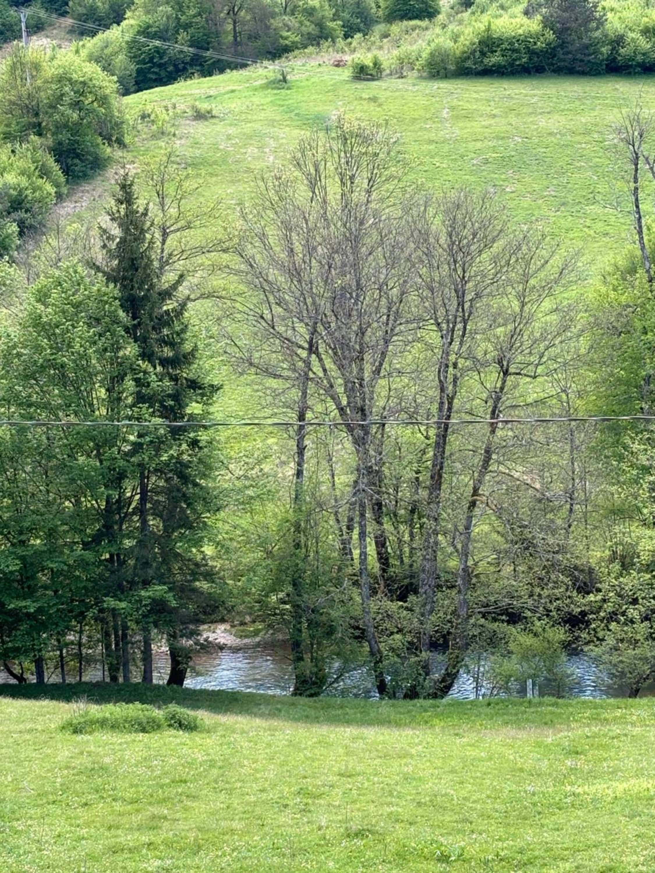 Villa Mona Zeleni Vir