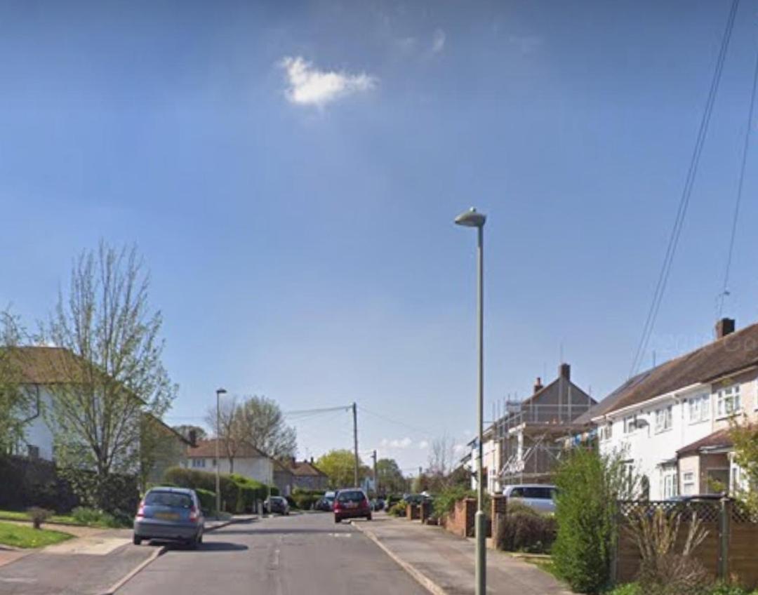 Vienna Orpington