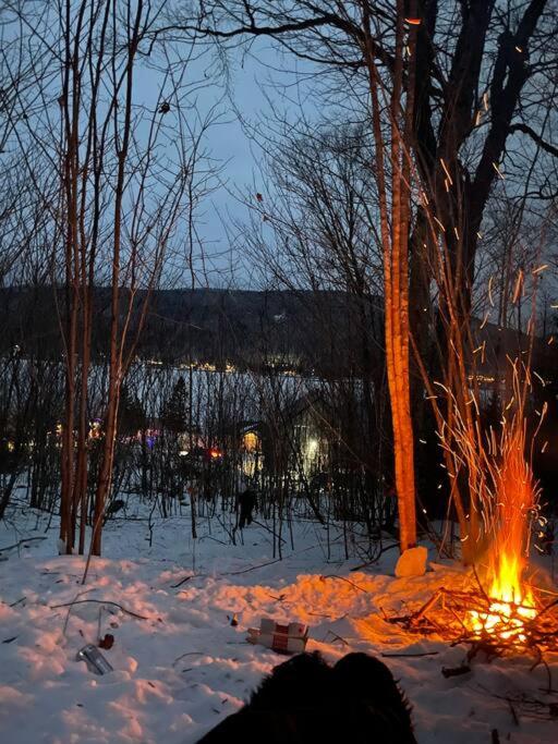 Le Jarret Noir! Chalet NEUF en nature SPA/Vue Lac