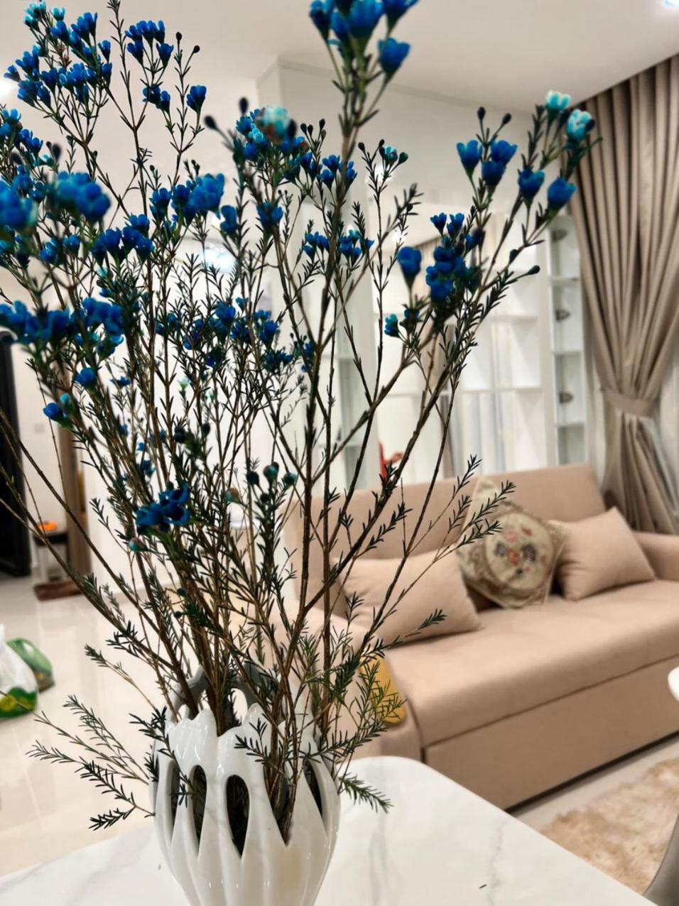 Resort ori , S10 03 luxury Vinhomes Grand pard