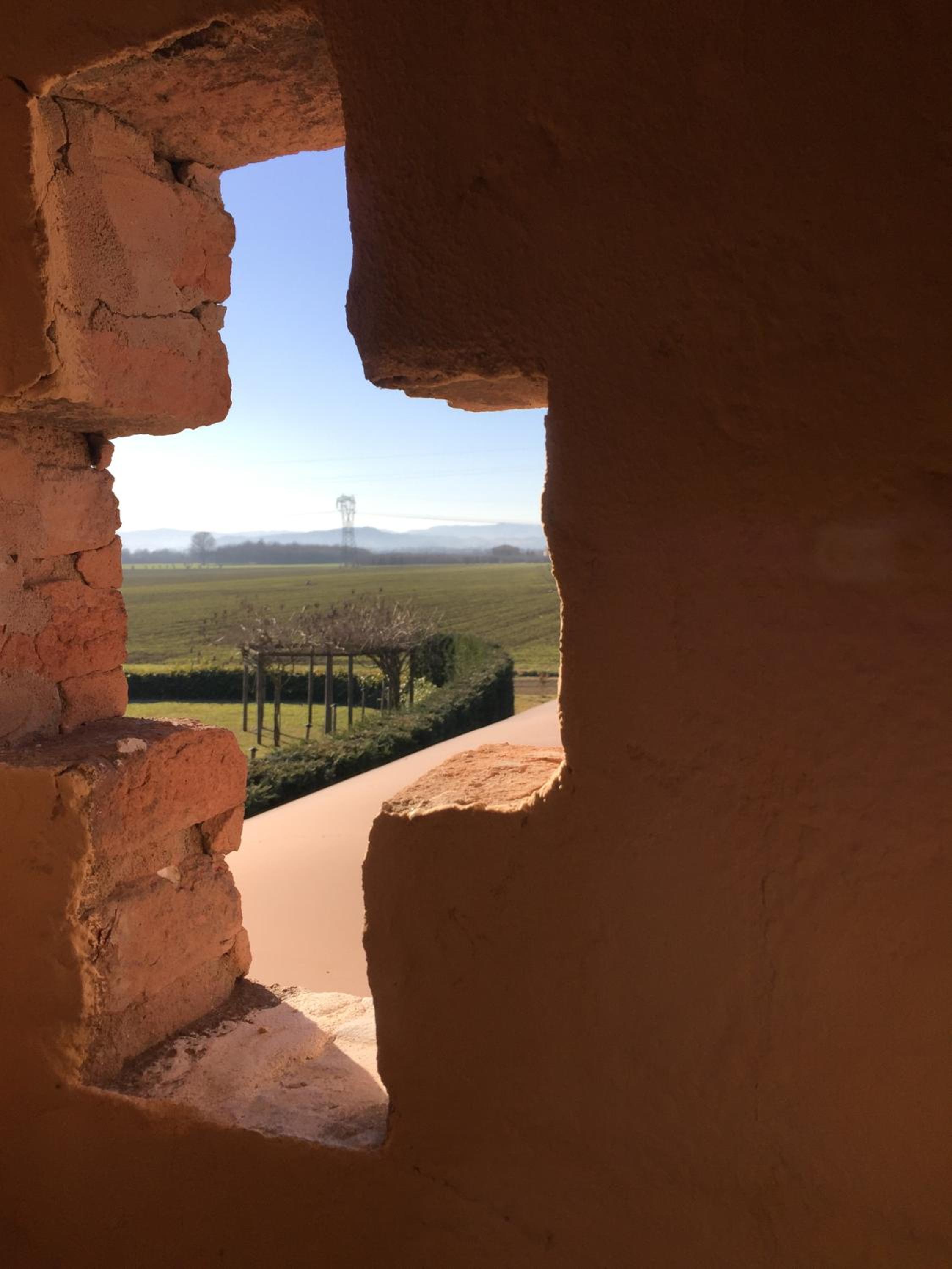 Agriturismo La Lupa