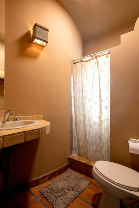 Photo 8