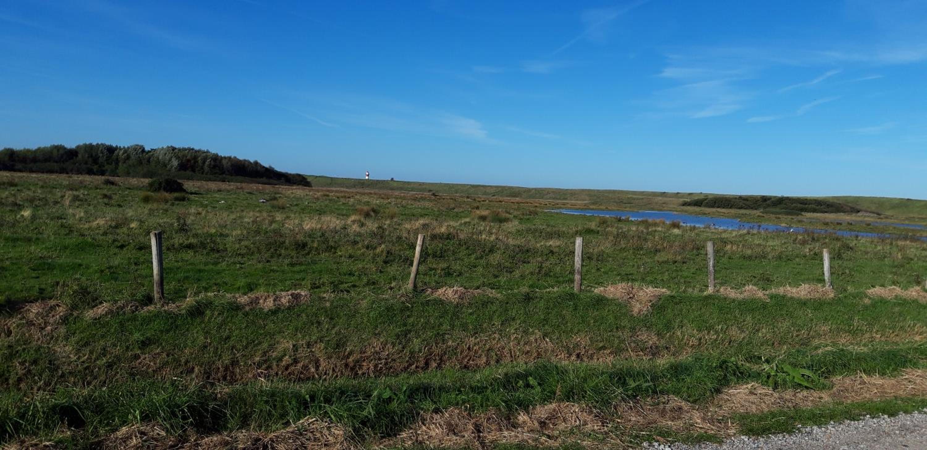 Chalet Westkapelle op een vakantiepark met 2 slaapkamers 1,7 km van het strand view 5
