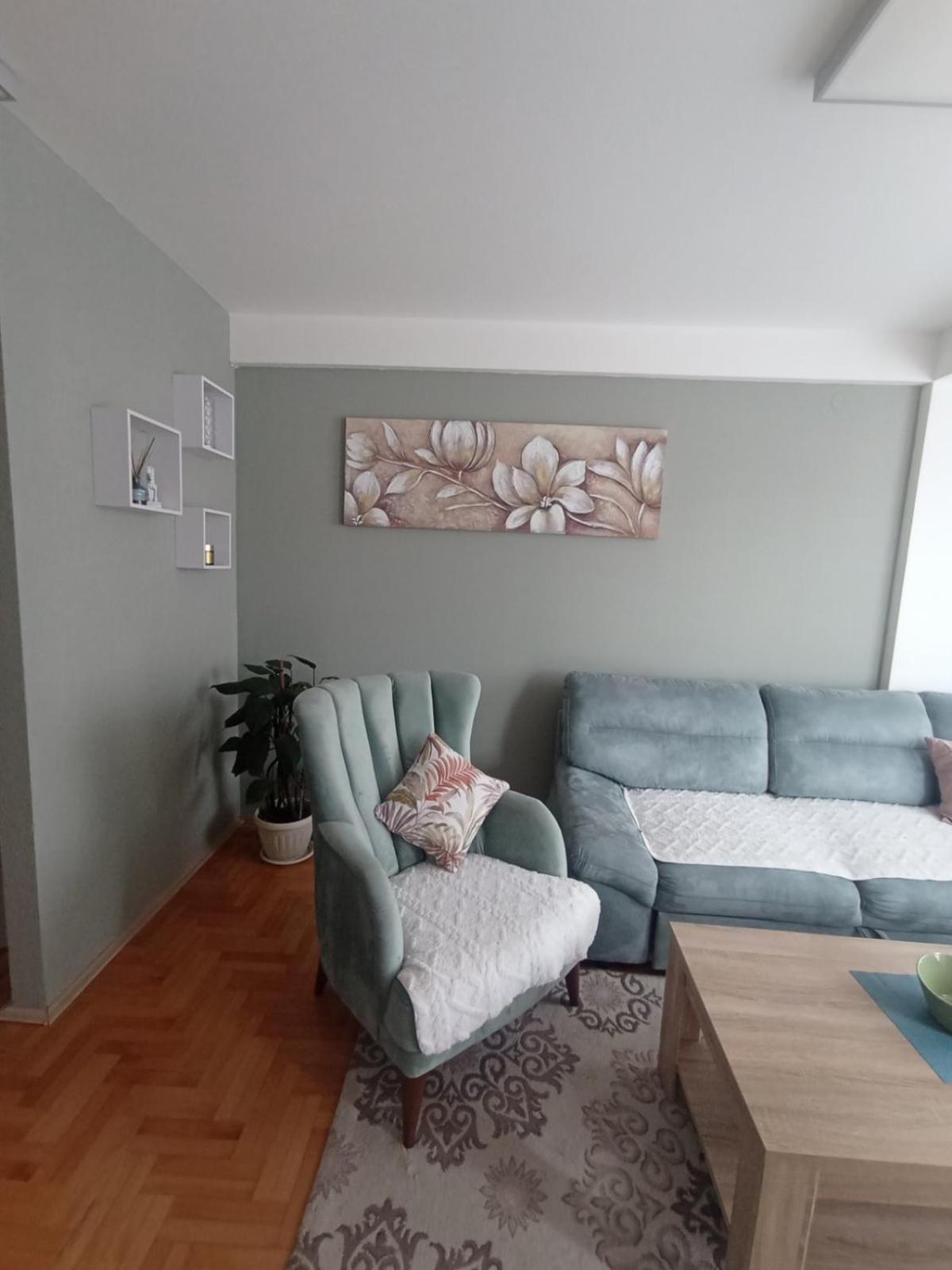 Apartman Dragon Kg view 2
