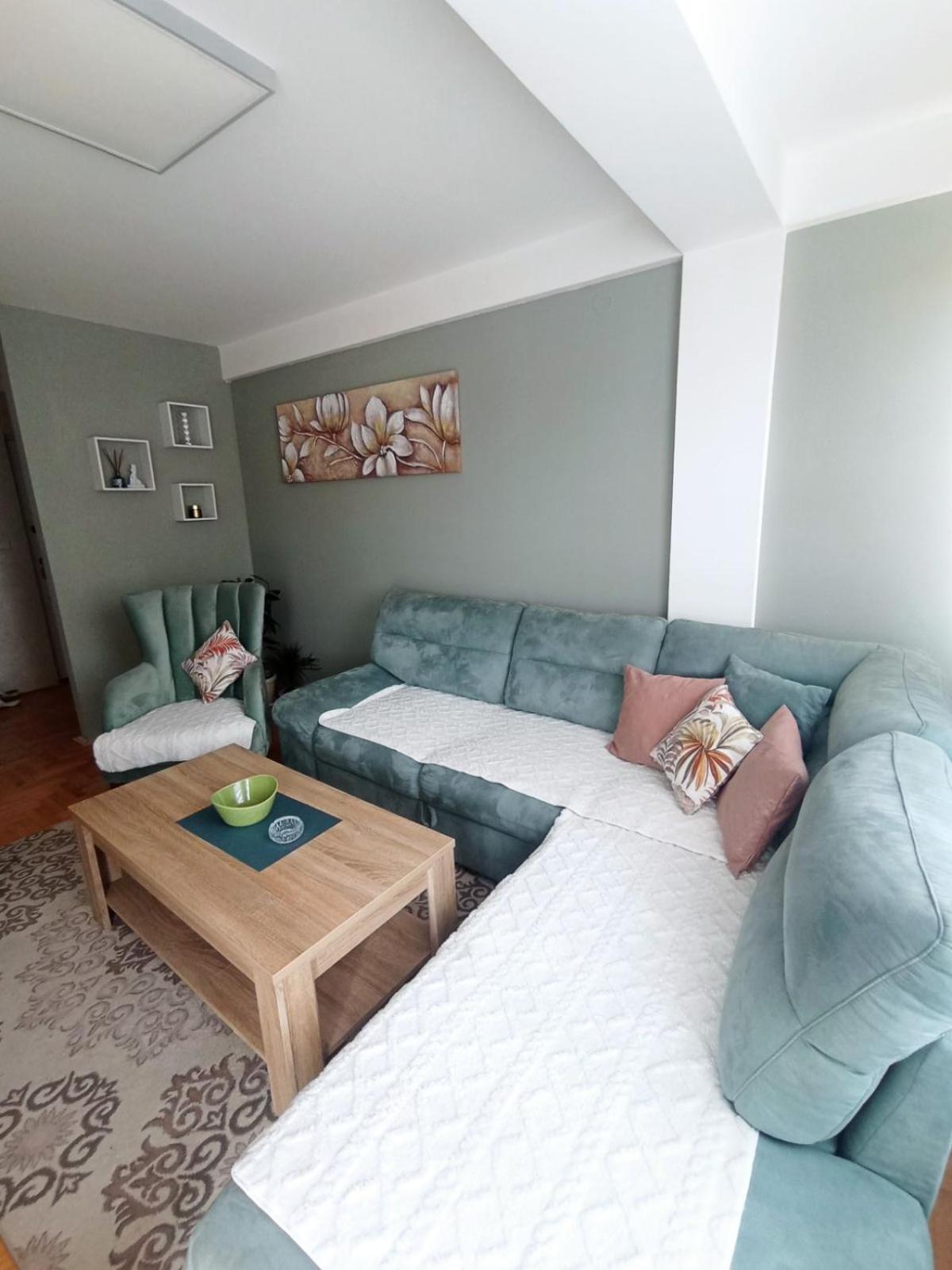 Apartman Dragon Kg view 4