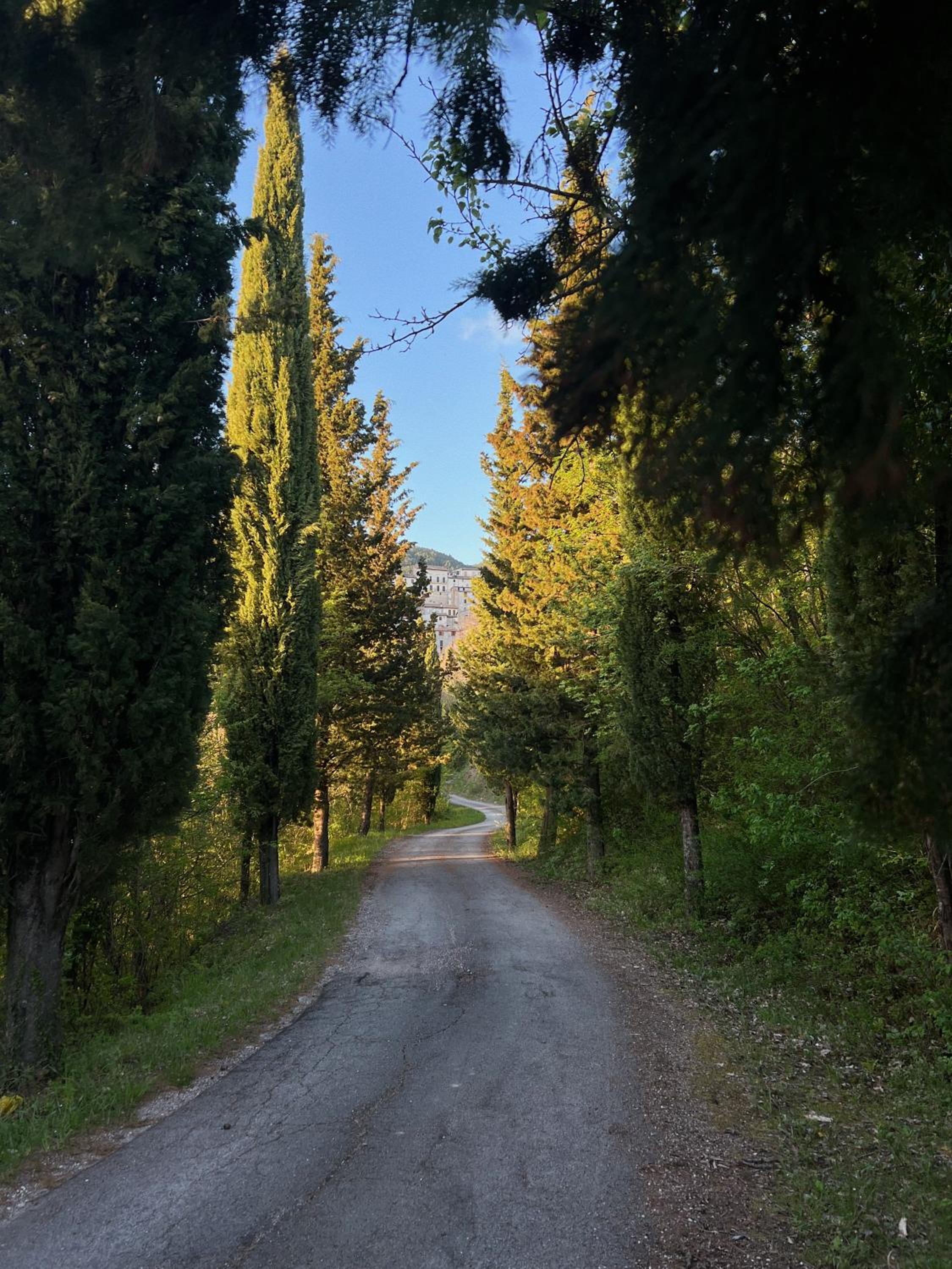 Fattoria del Borgo in Sabina view 4