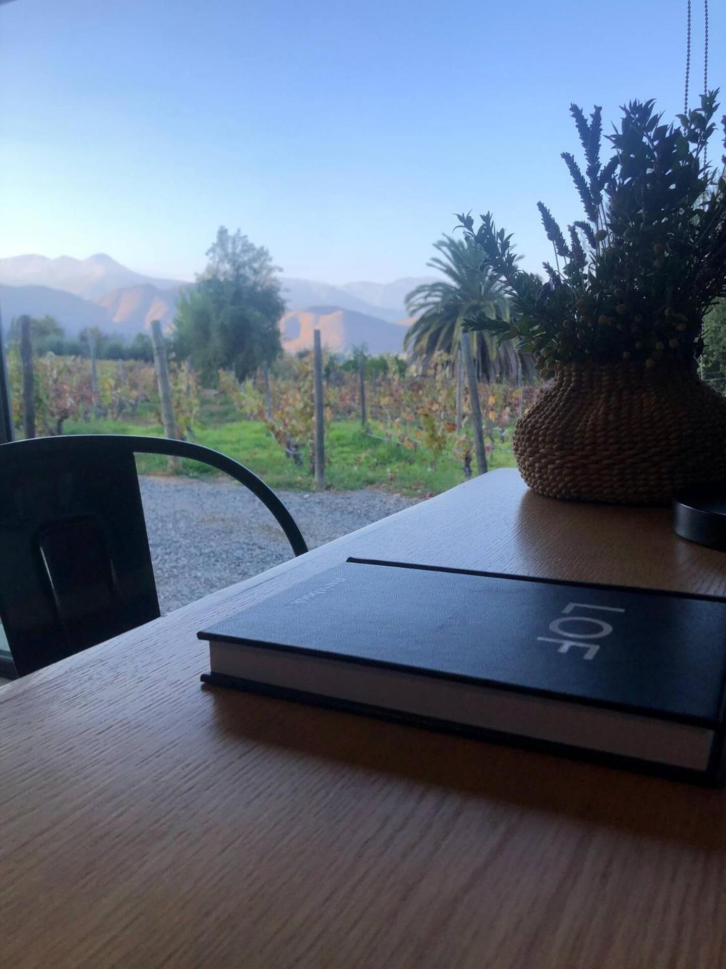 Viña LOF - Maipo Valley Bed & Breakfast in Winery