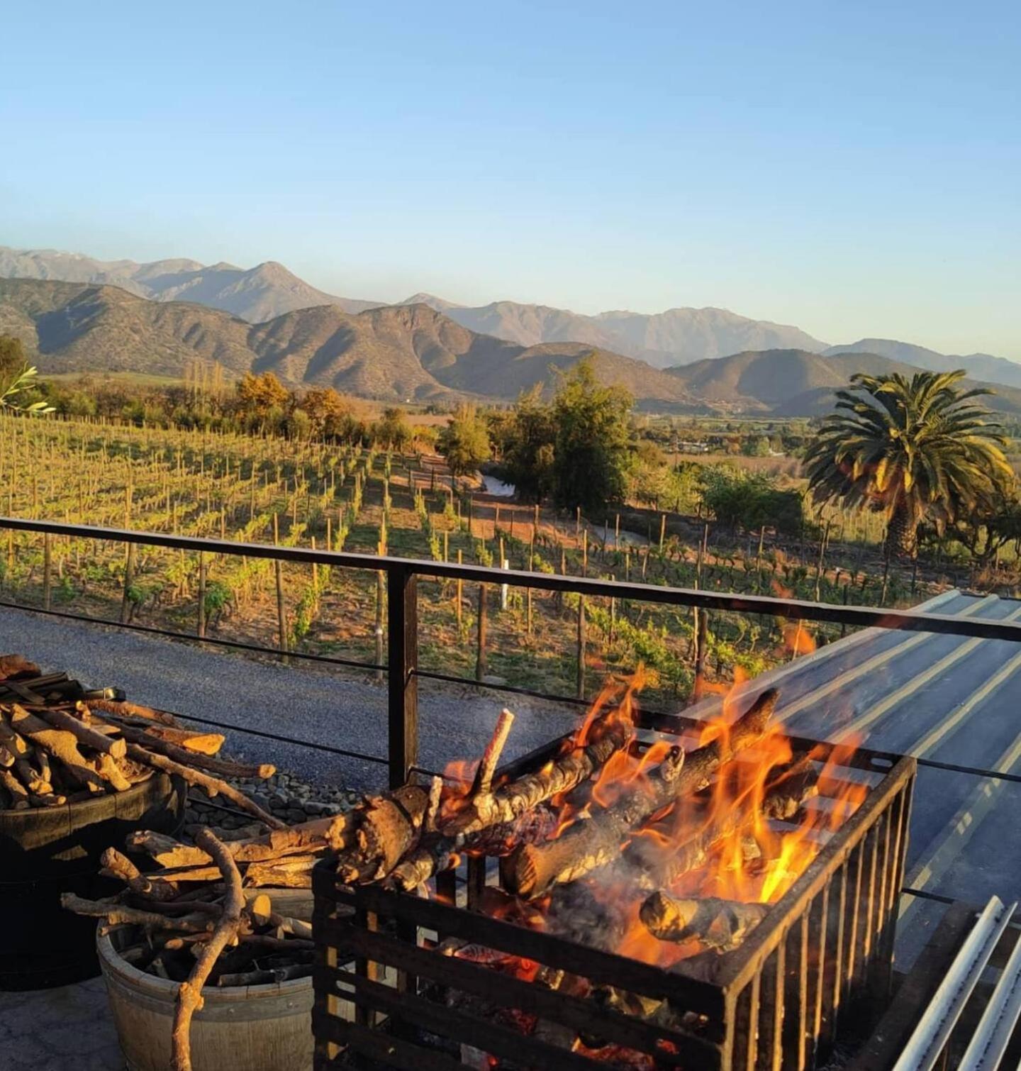 Viña LOF - Maipo Valley Bed & Breakfast in Winery