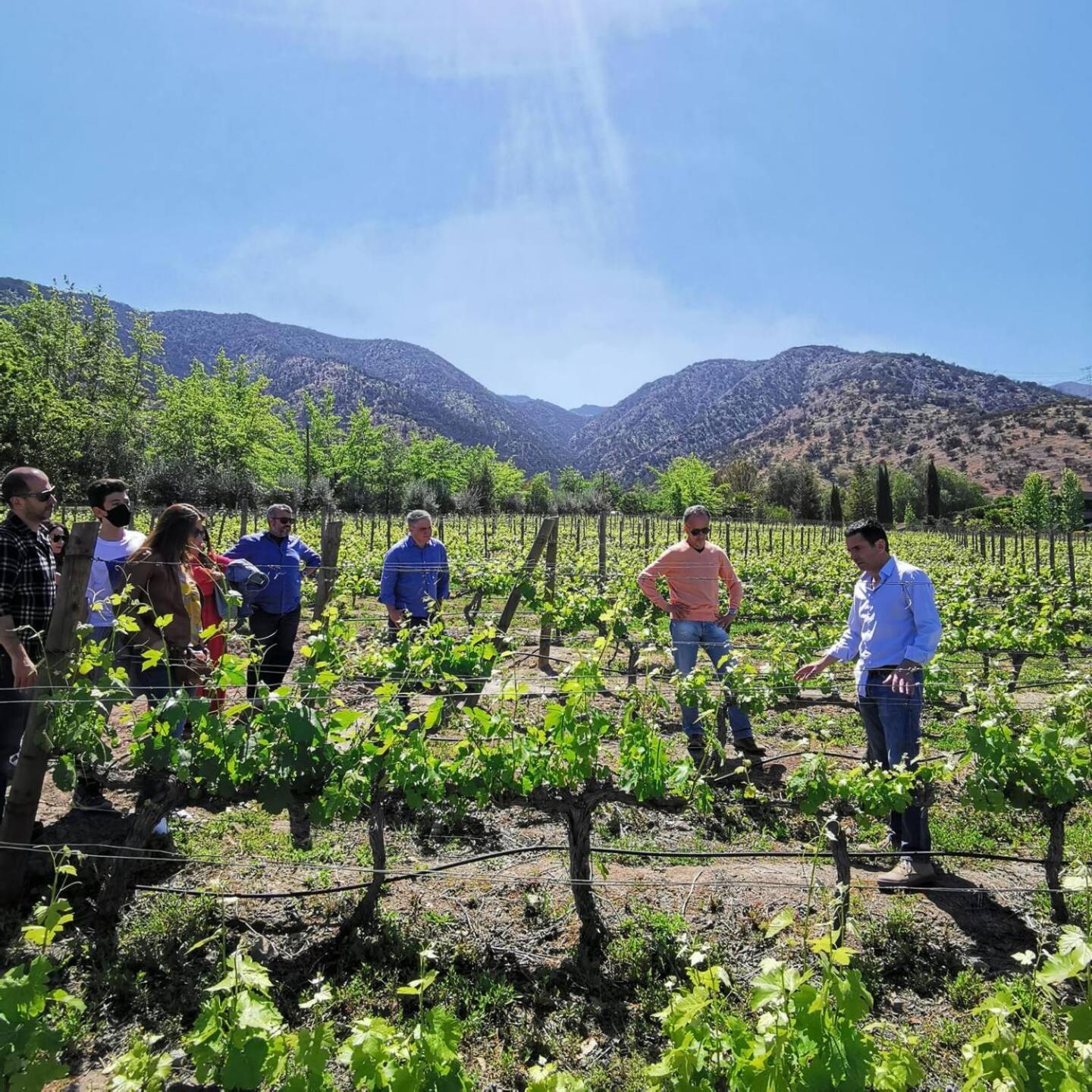 Viña LOF - Maipo Valley Bed & Breakfast in Winery