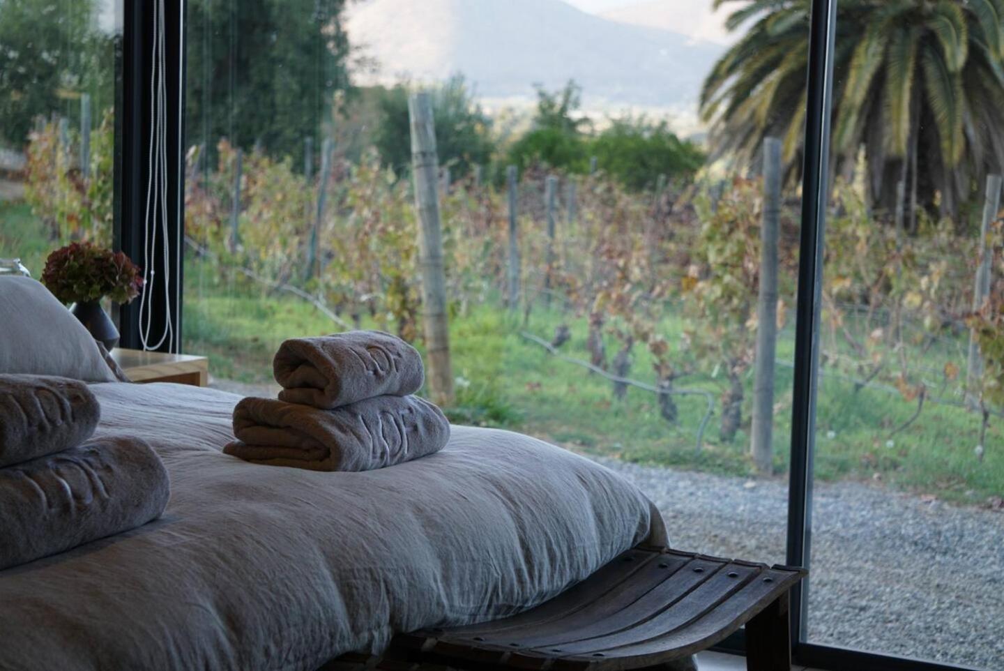 Viña LOF - Maipo Valley Bed & Breakfast in Winery