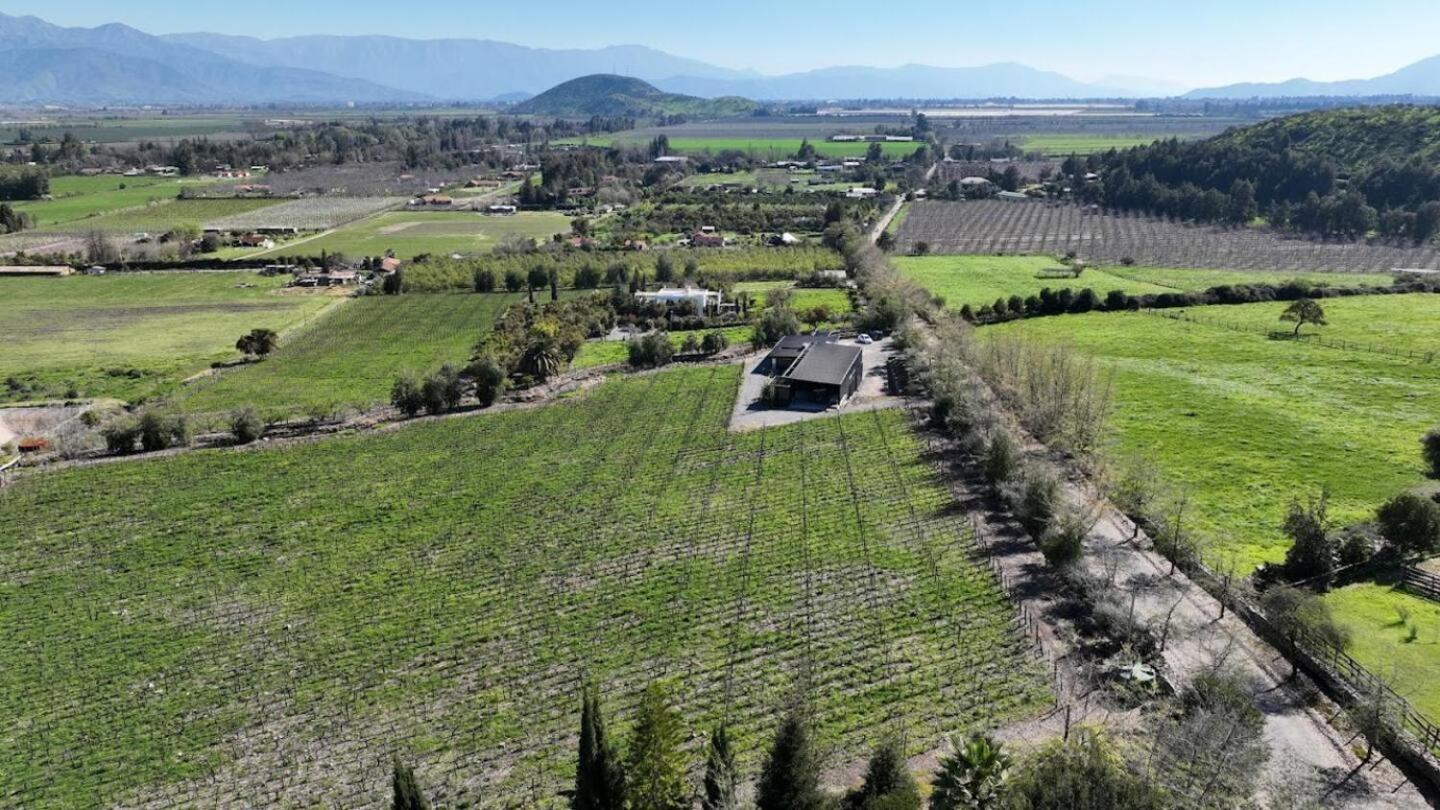 Viña LOF - Maipo Valley Bed & Breakfast in Winery
