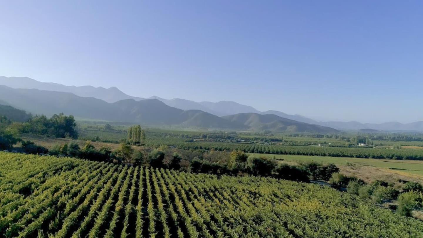 Viña LOF - Maipo Valley Bed & Breakfast in Winery