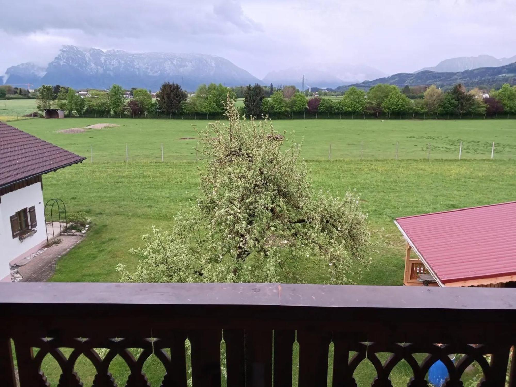 Wohnung Staufenblick