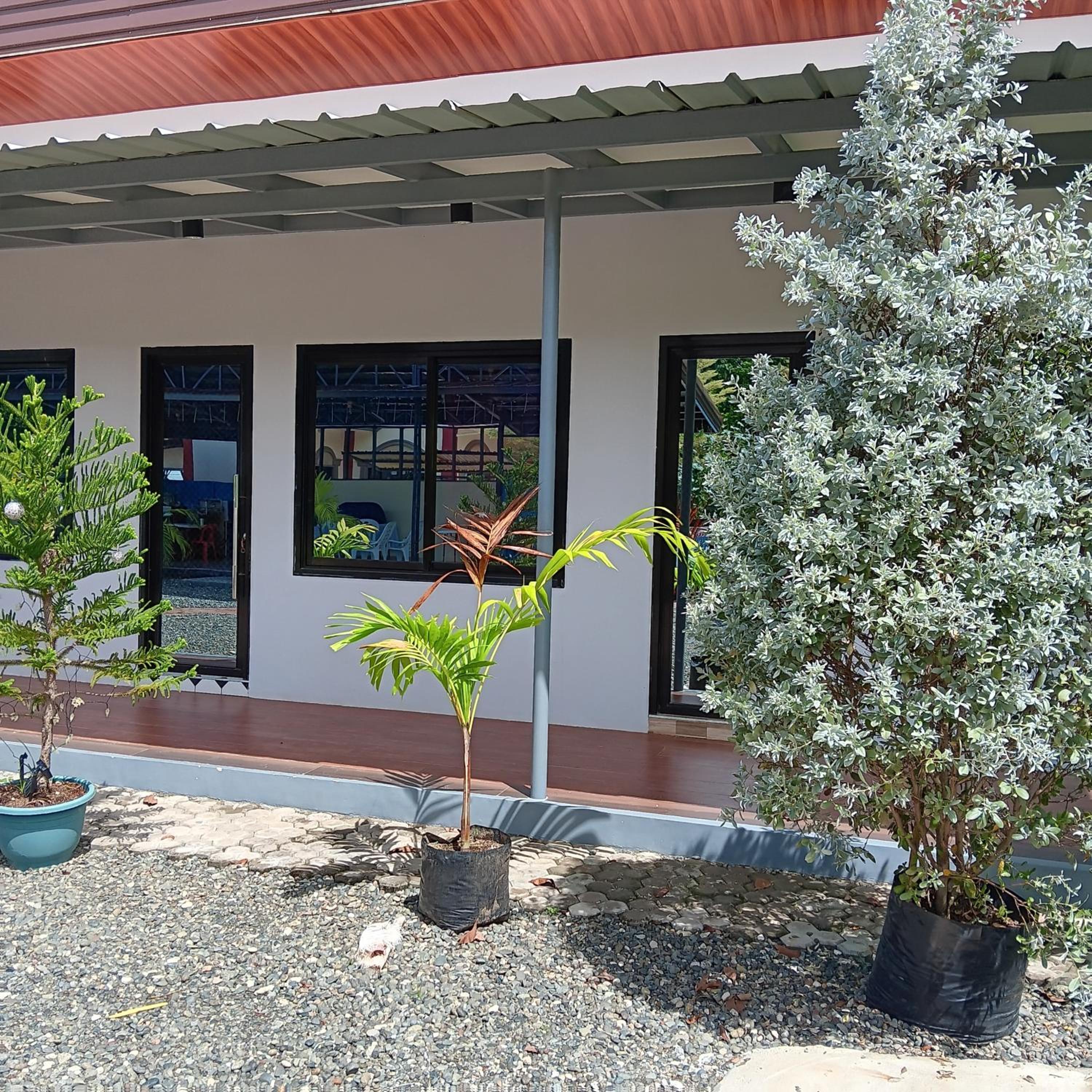 Magooz Homestay