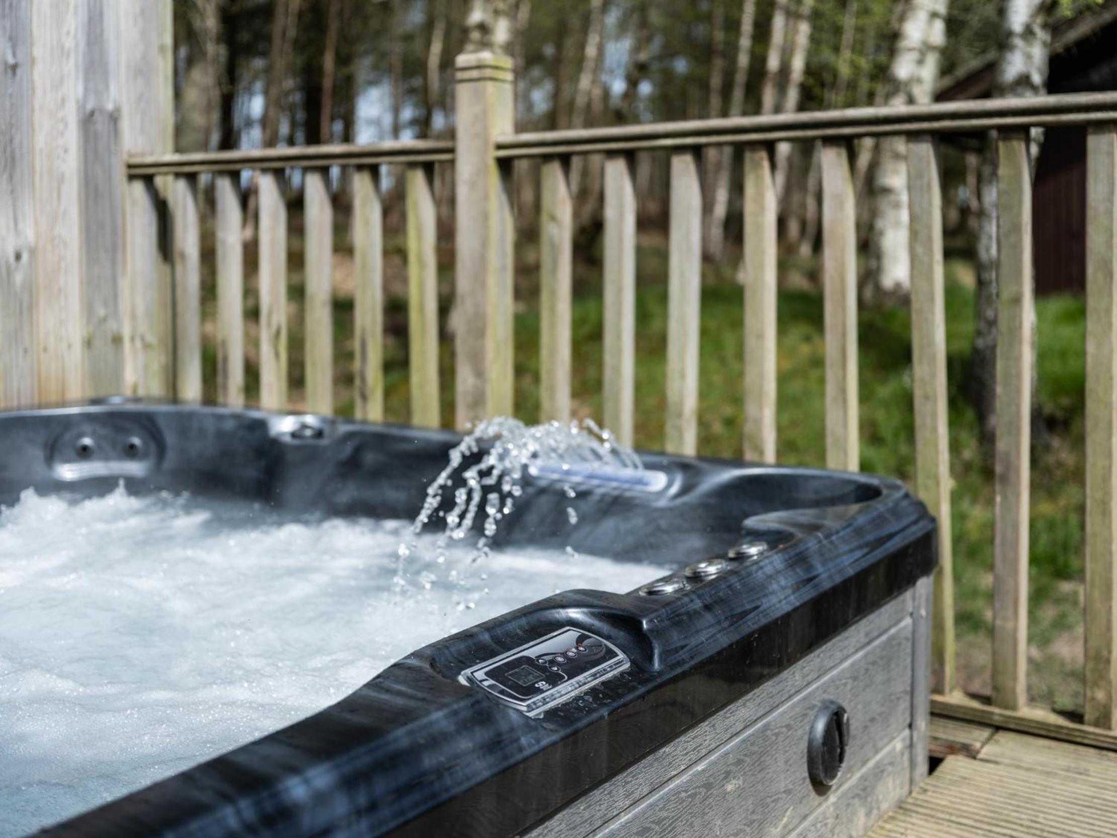 Cabin W Hot Tub, Sauna, King Beds, National Park view 5