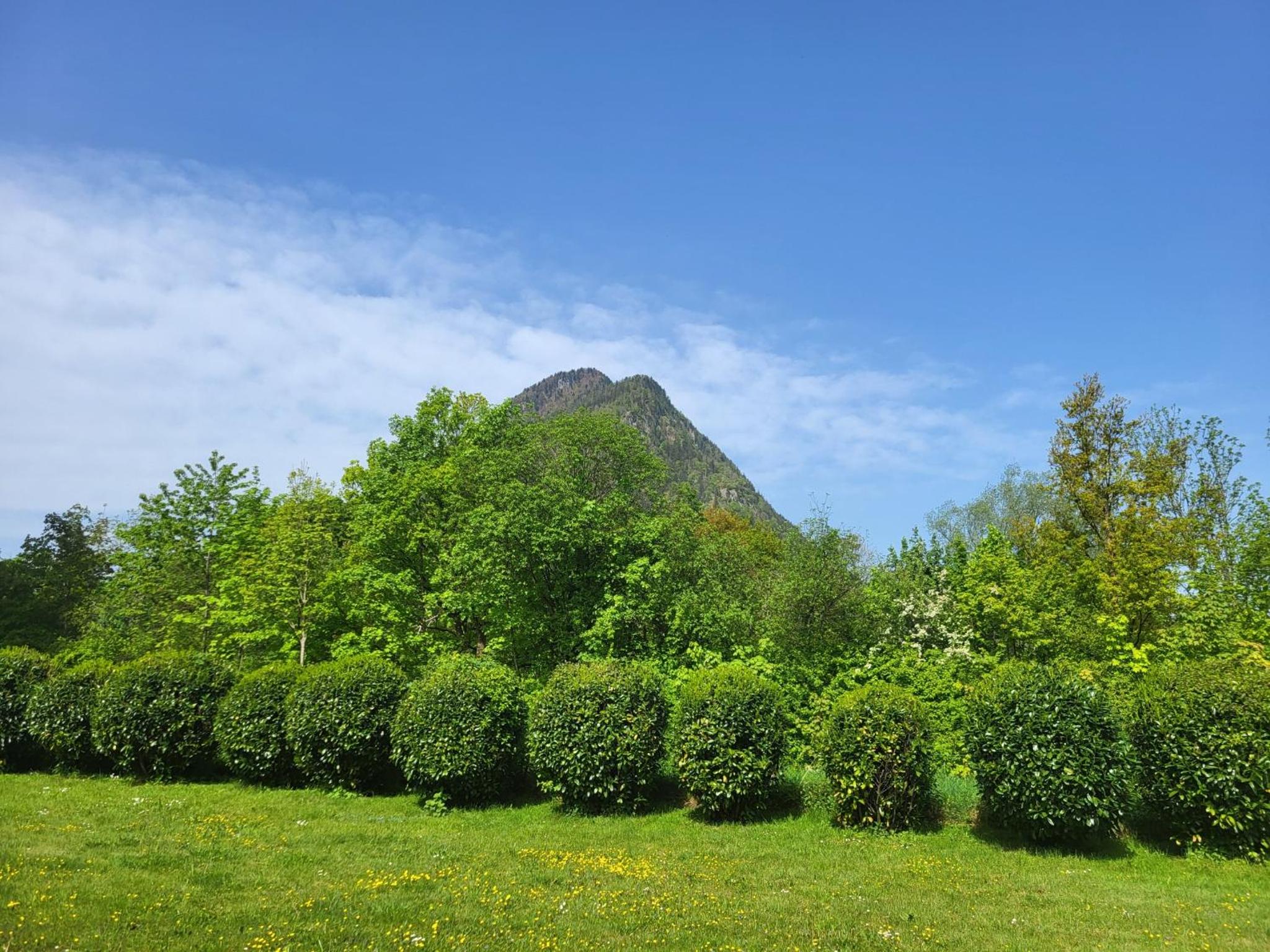 Ferienwohnung Salzburgblick