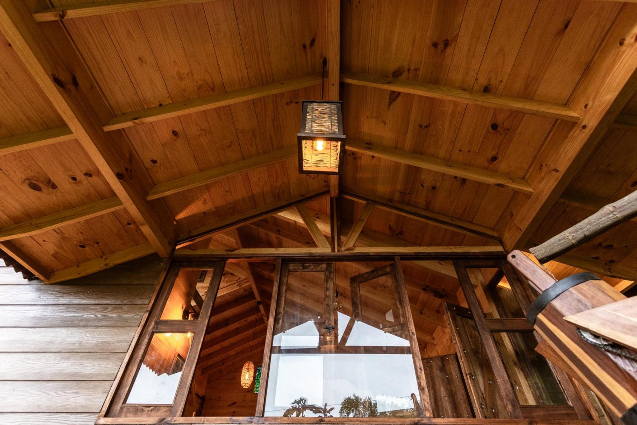 Tominejo Ecolodge - Casas en los árboles