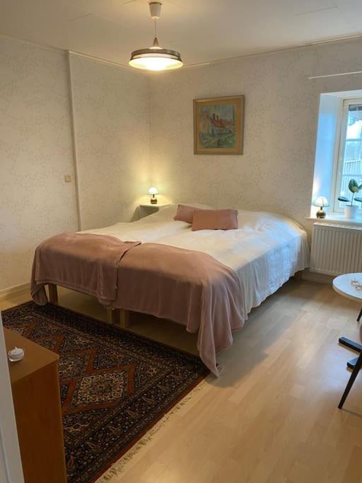 Lantgård nära stad, fiske o golf