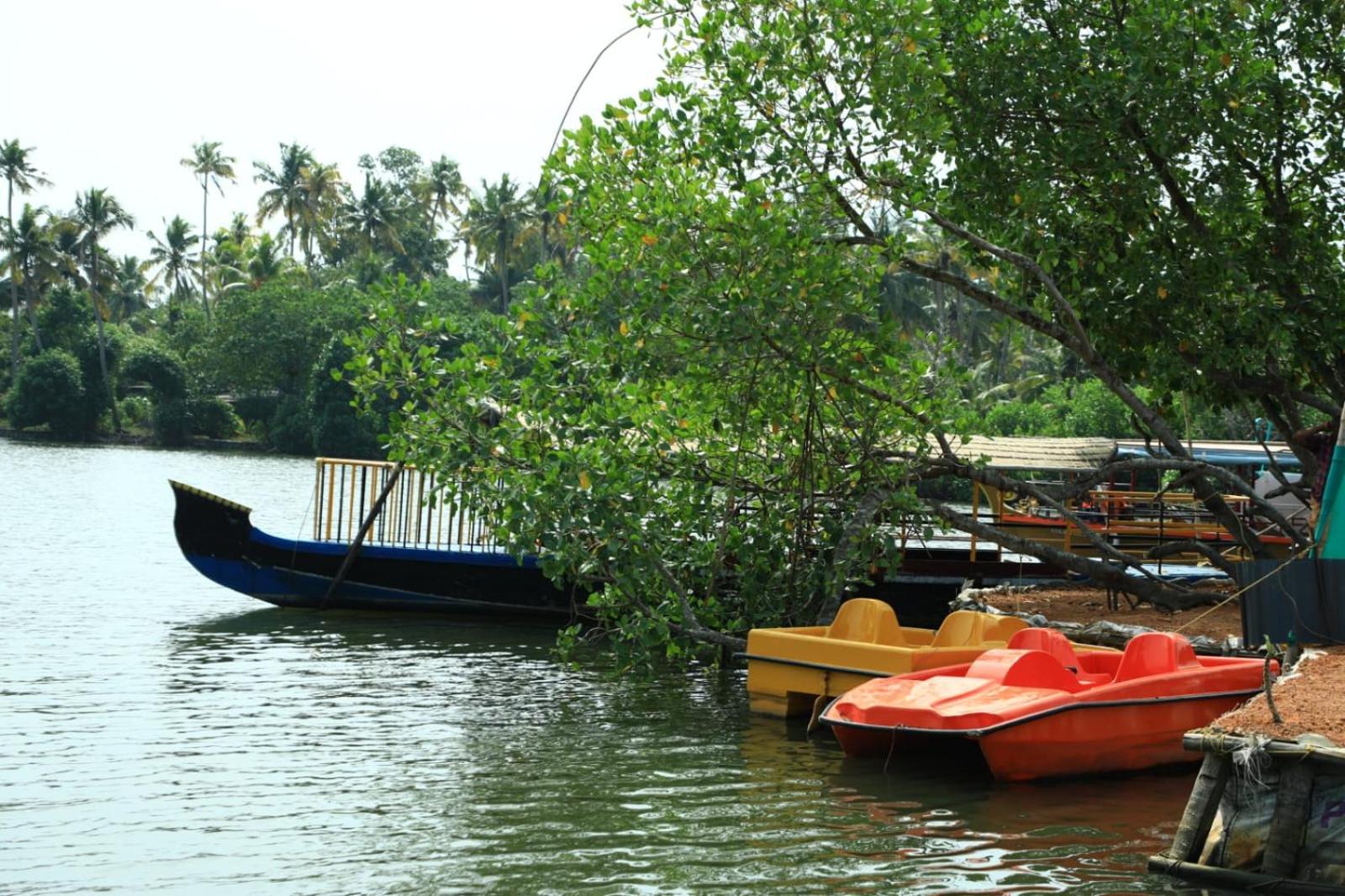 mundro paradise lake homestay