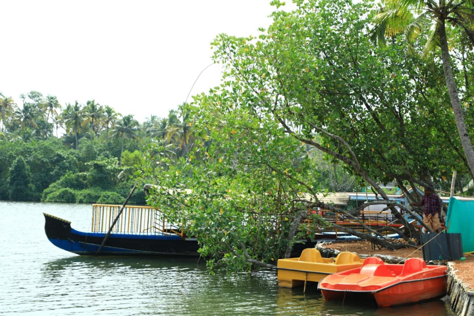 mundro paradise lake homestay