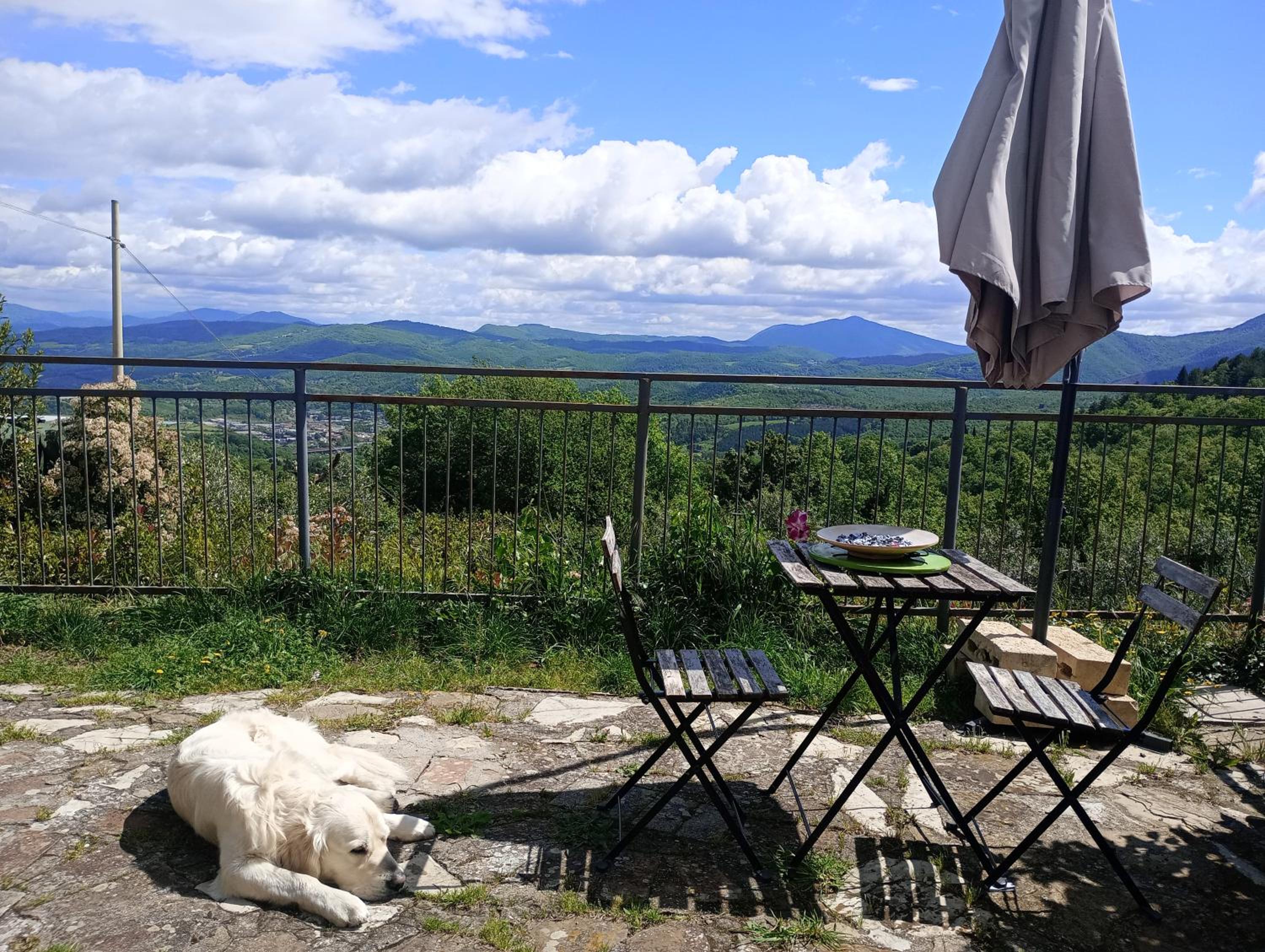 Il Podere di Massi view 3
