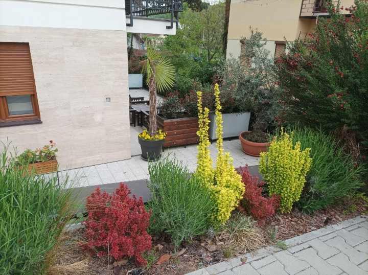 Photo 22