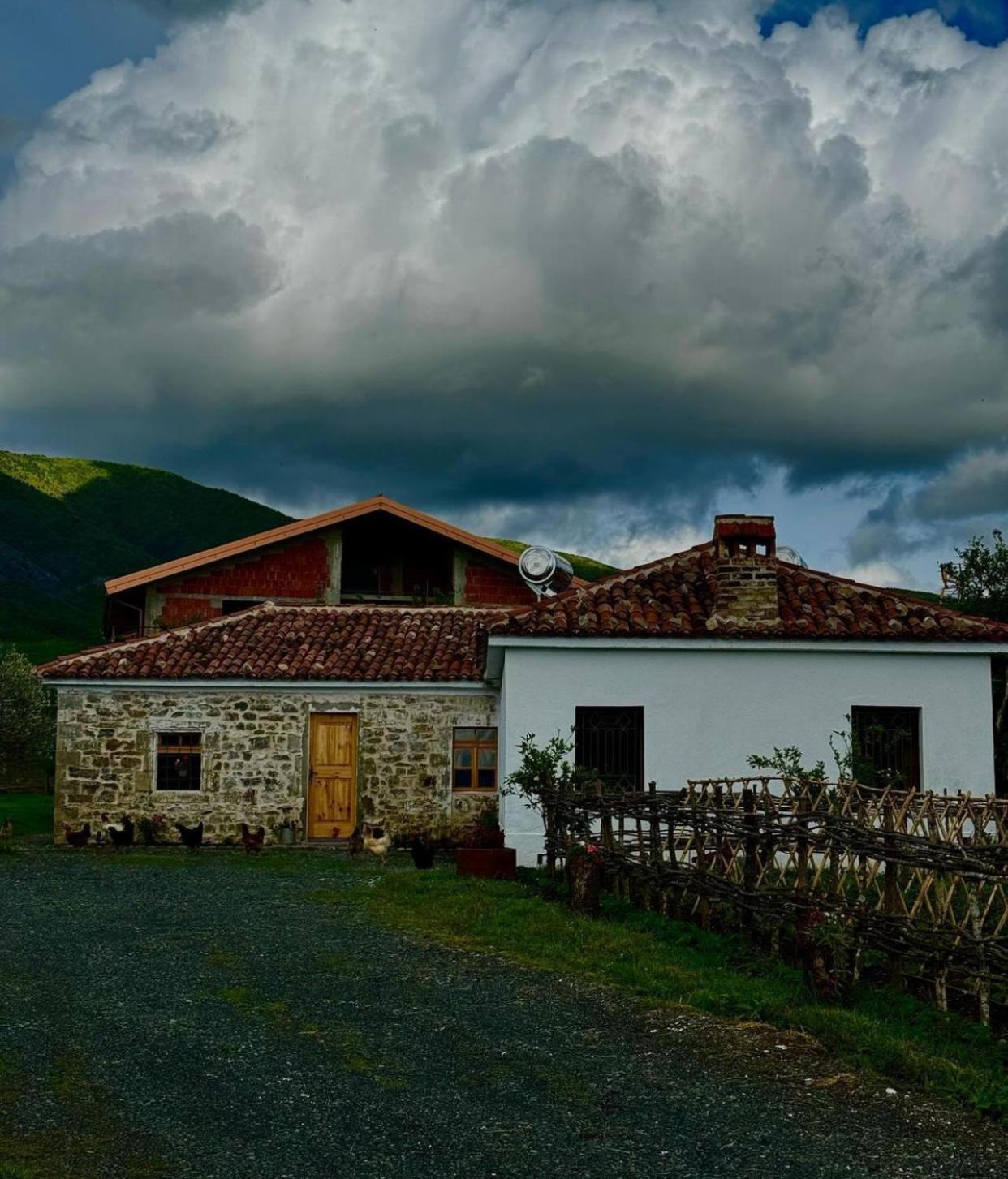 Guesthouse Vitoria - Mrizi i Zanave