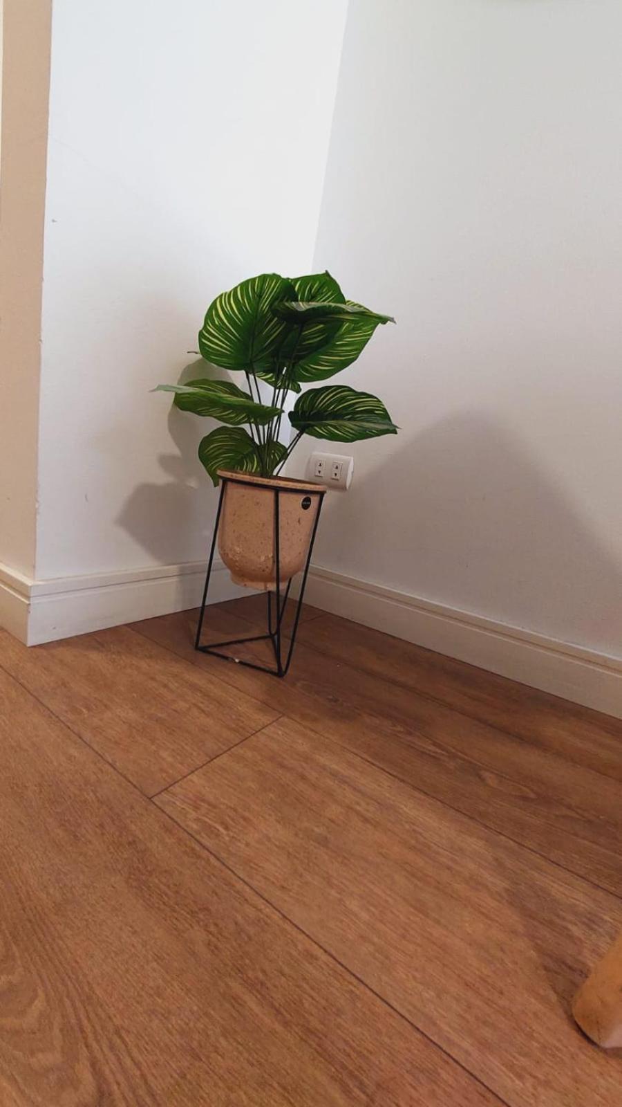 Hermoso y elegante monoambiente