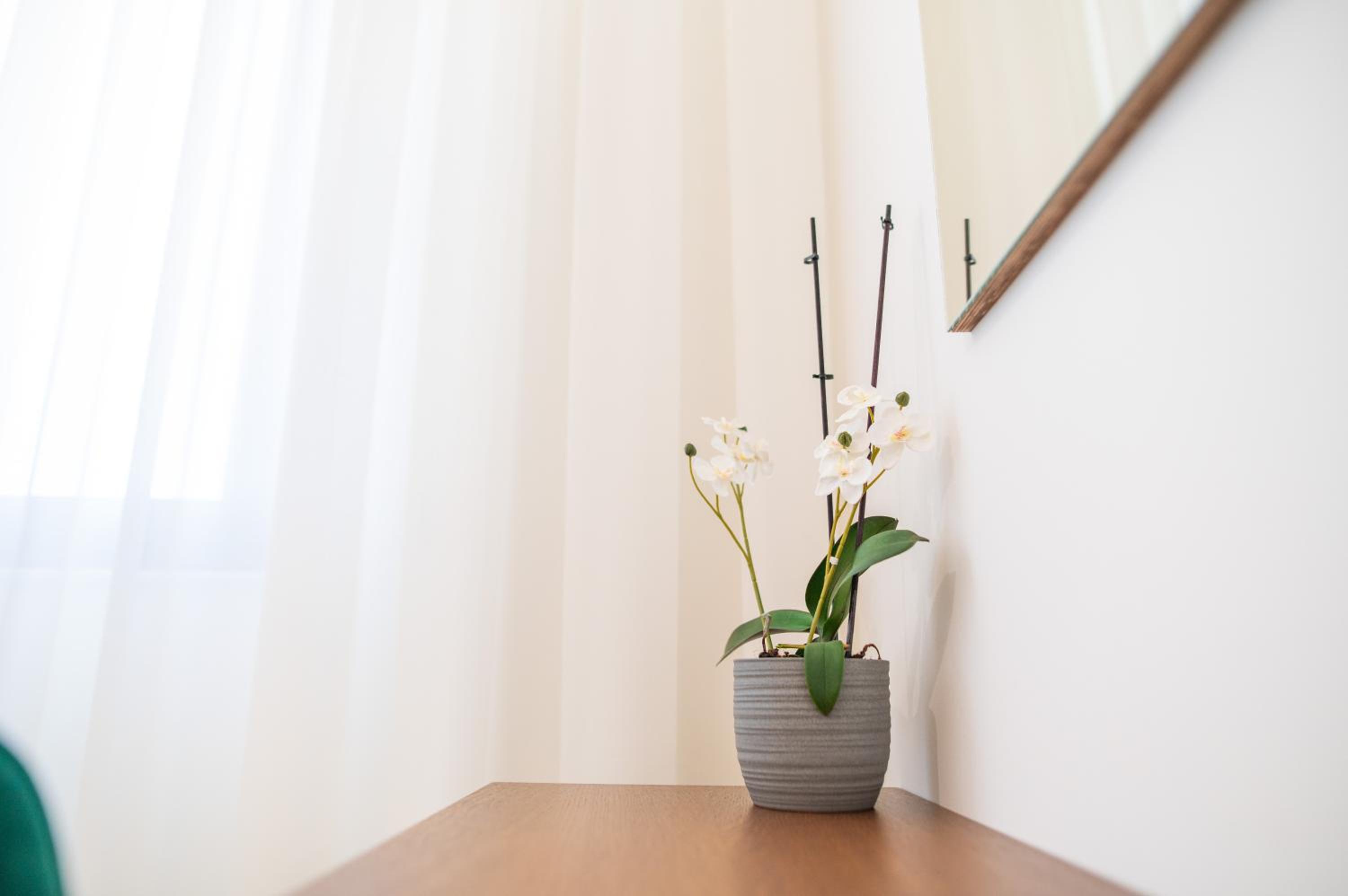 Melber Apartment