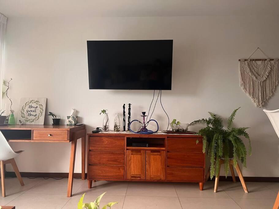 1-Bedroom Green Oasis