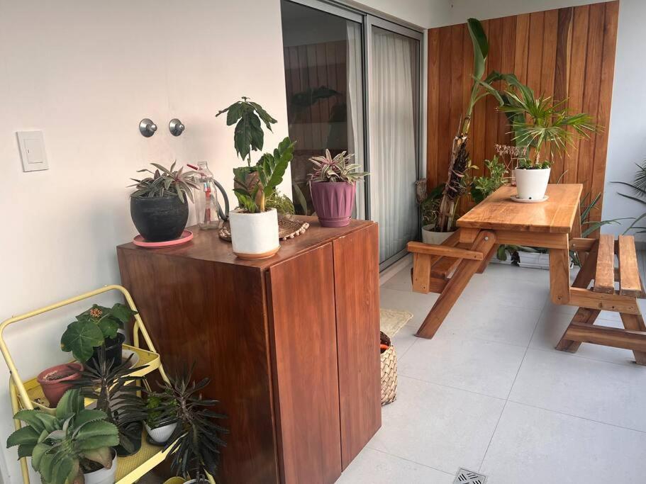 1-Bedroom Green Oasis
