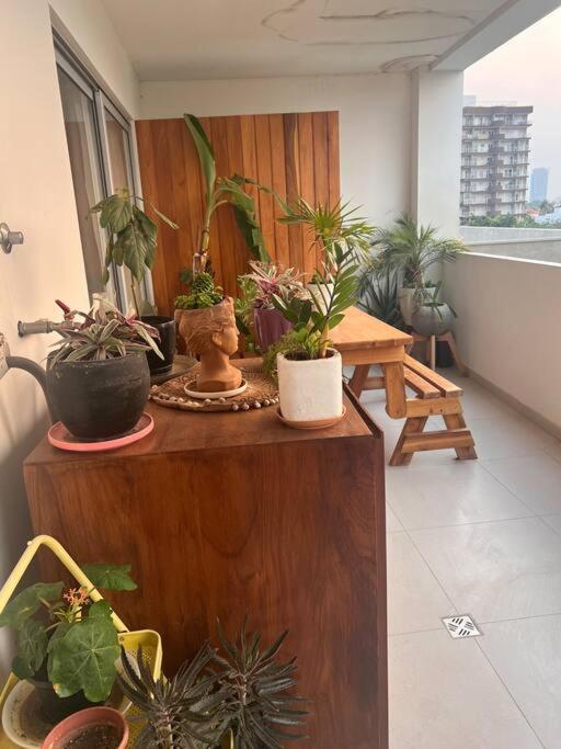 1-Bedroom Green Oasis
