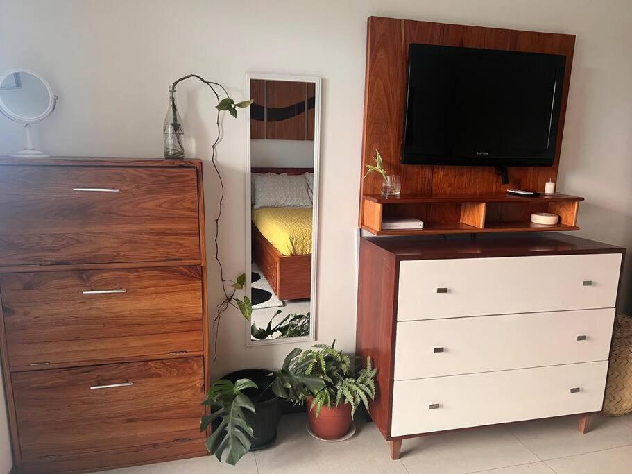 1-Bedroom Green Oasis