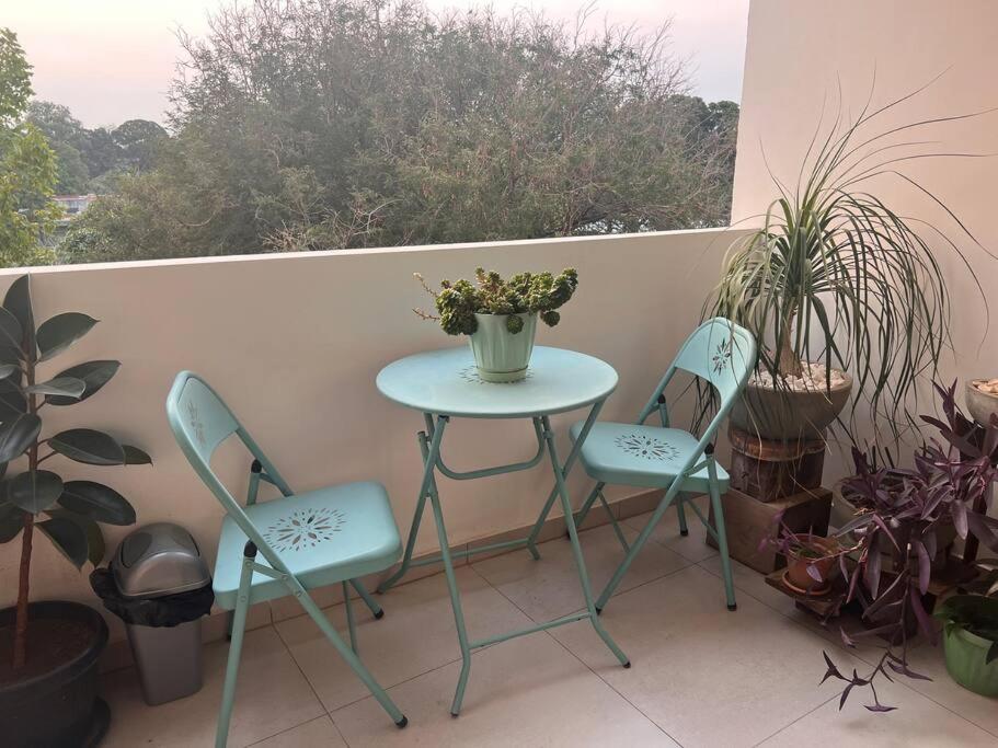 1-Bedroom Green Oasis