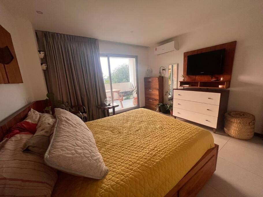 1-Bedroom Green Oasis