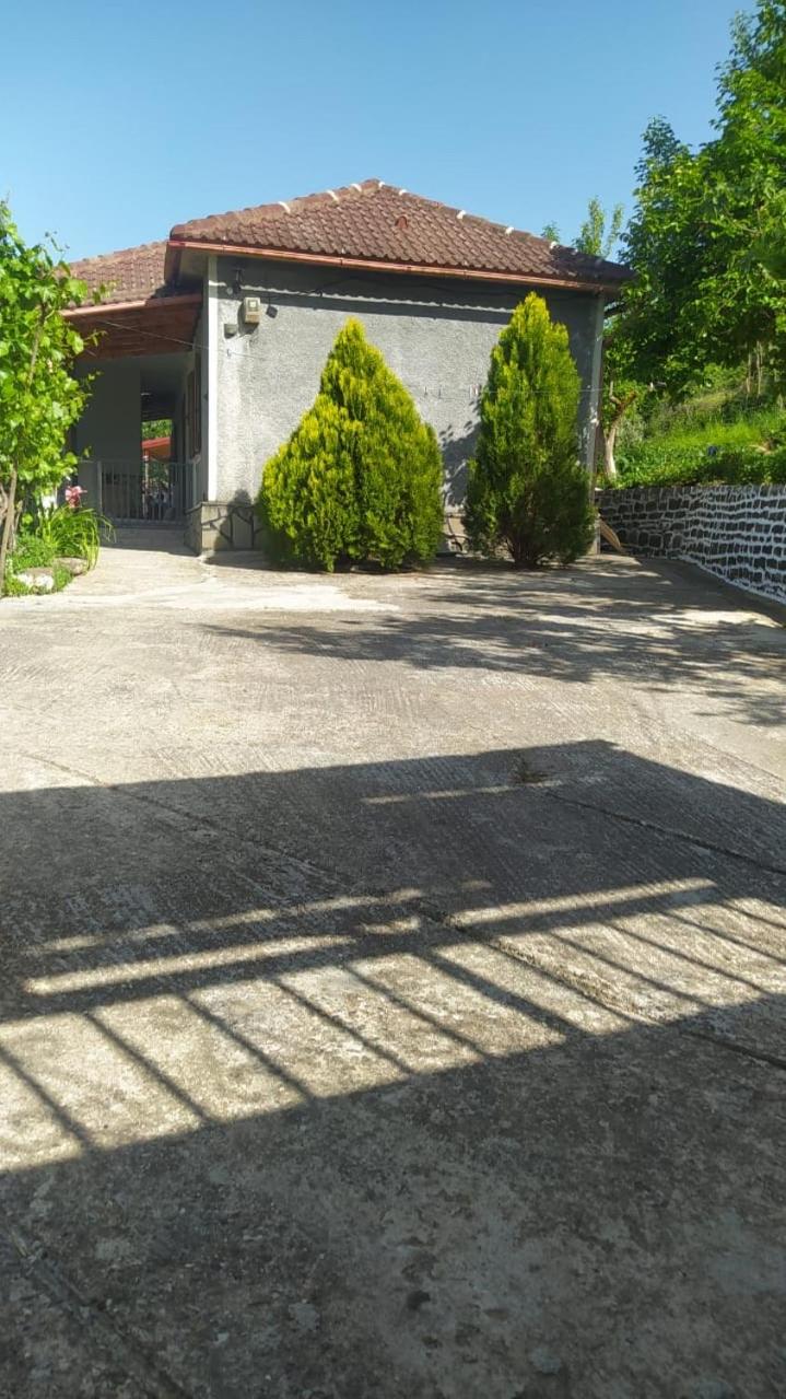Spring Village Home
